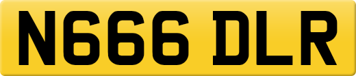 N666DLR