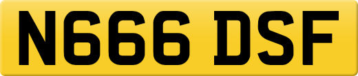 N666DSF
