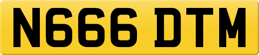 N666DTM