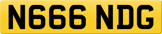 N666NDG