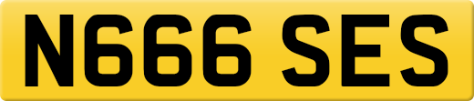 N666SES