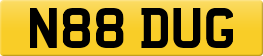 N88DUG