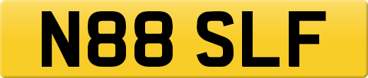 N88SLF