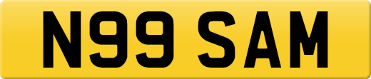 N99SAM