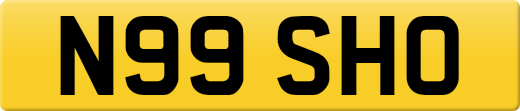 N99SHO