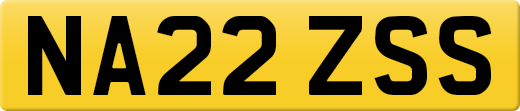NA22ZSS