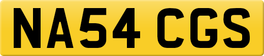 NA54CGS