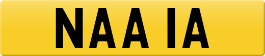 NAA1A