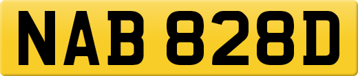 NAB828D