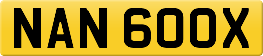 NAN600X