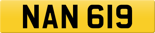 NAN619