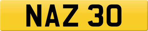 NAZ30