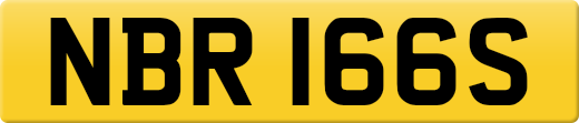 NBR166S