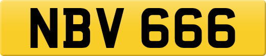 NBV666