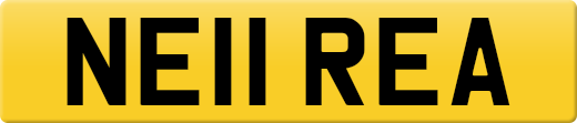 NE11REA