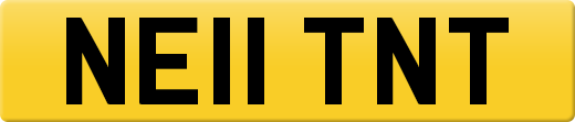 NE11TNT