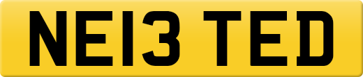NE13TED