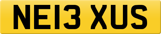 NE13XUS