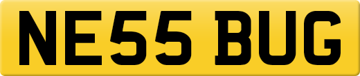 NE55BUG