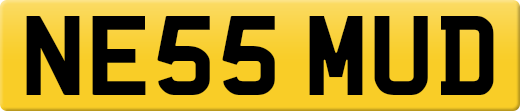 NE55MUD