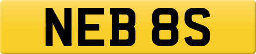 NEB8S