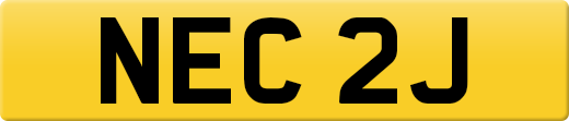 NEC2J
