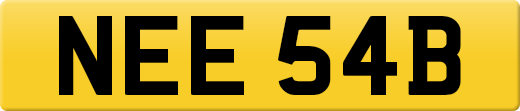 NEE54B
