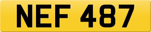 NEF487