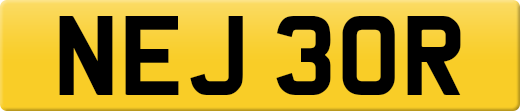 NEJ30R