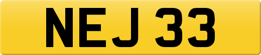 NEJ33
