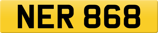 NER868