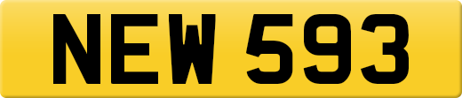 NEW593
