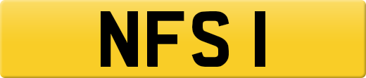 NFS1