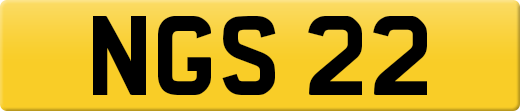 NGS22