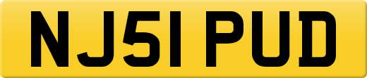 NJ51PUD