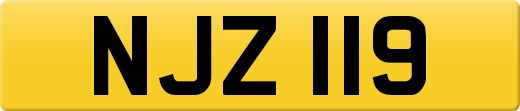 NJZ119