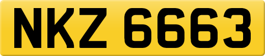 NKZ6663