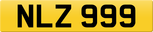 NLZ999