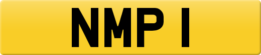 NMP1