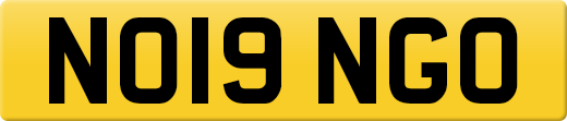 NO19NGO
