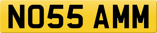 NO55AMM