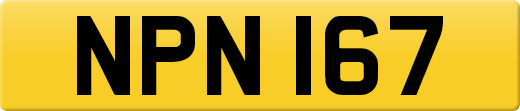 NPN167