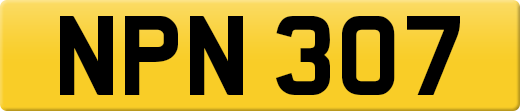 NPN307