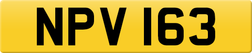 NPV163
