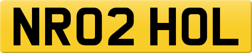 NR02HOL