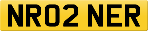 NR02NER