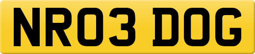 NR03DOG