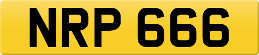 NRP666