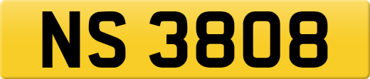 NS3808