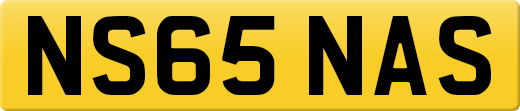 NS65NAS